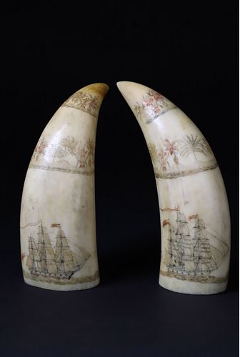FINE PAIR OF AMERICAN SCRIMSHAWED