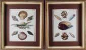 FINE PAIR OF VINTAGE SEASHELL