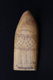 FINE POLYCHROME SCRIMSHAW ANTI
