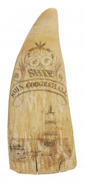 FINE SCRIMSHAW WHALE'S TOOTH A