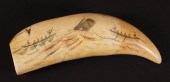 FINE SCRIMSHAWED AND POLYCHROM