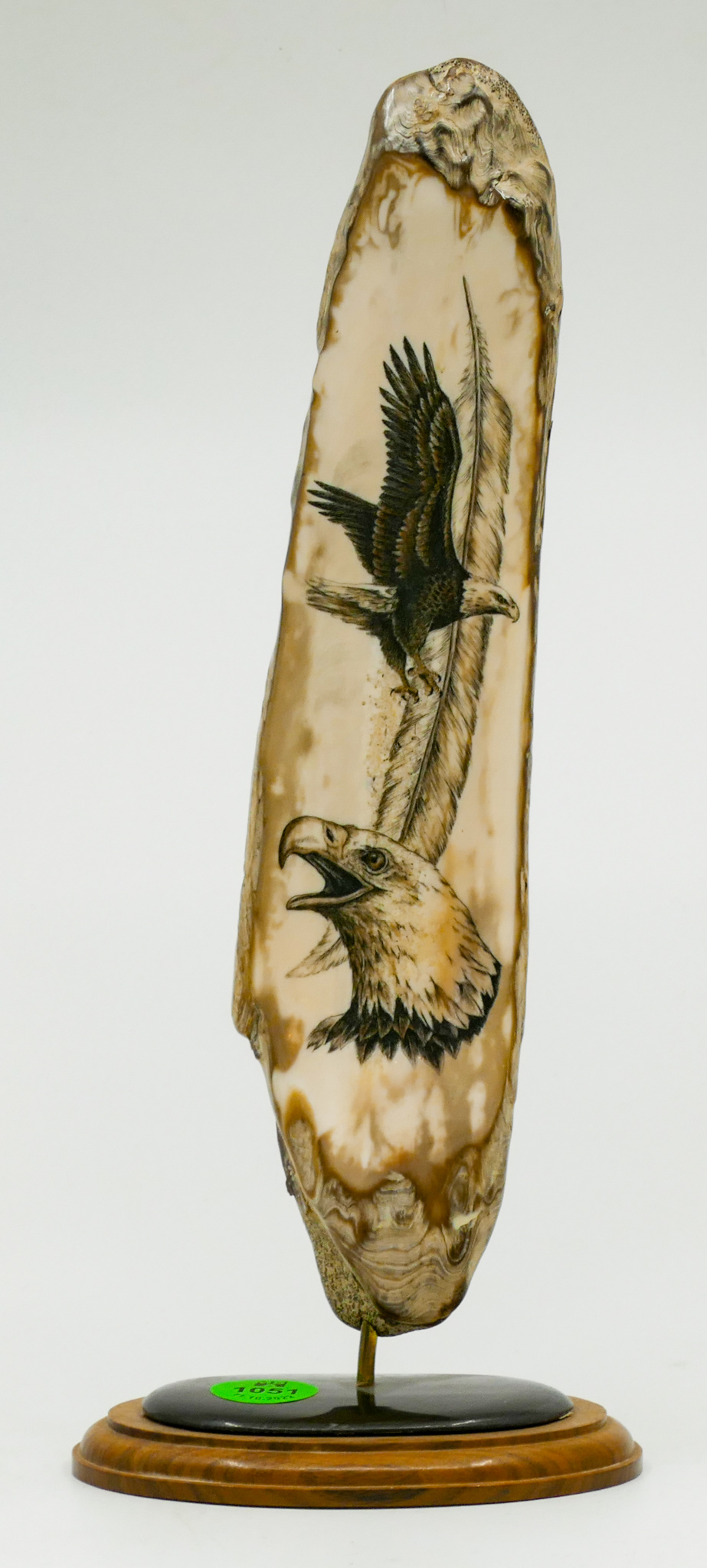 Fine Scrimshawed Eagle Tusk