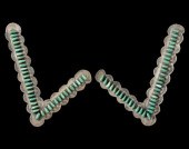 FINE ZUNI STERLING AND TURQUOI
