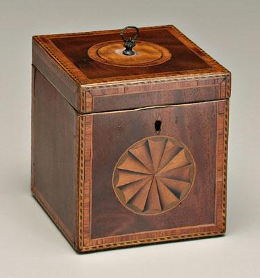 Finely inlaid mahogany tea box,