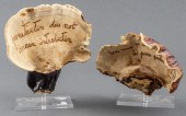 FISTULINA HEPATICA MUSHROOM AR
