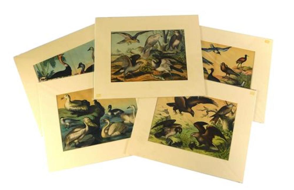 FIVE 19TH C. ORNITHOLOGICAL