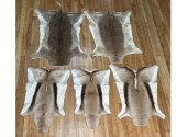 Five African hide rugs, includ
