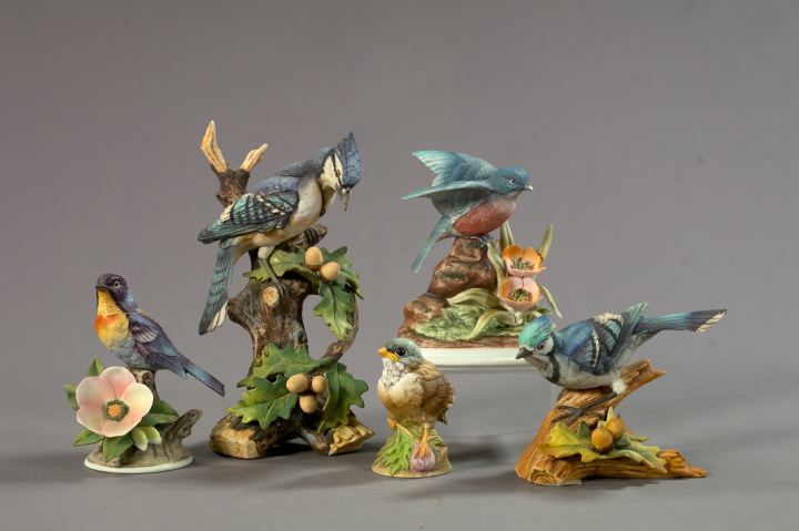 Five Andrea by Sadek Porcelain