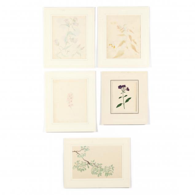 FIVE ANTIQUE BOTANICAL WATERCOLOR