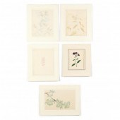 FIVE ANTIQUE BOTANICAL WATERCO