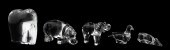 FIVE BACCARAT CRYSTAL ANIMAL P