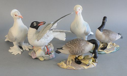 FIVE BOEHM PORCELAIN BIRDS,