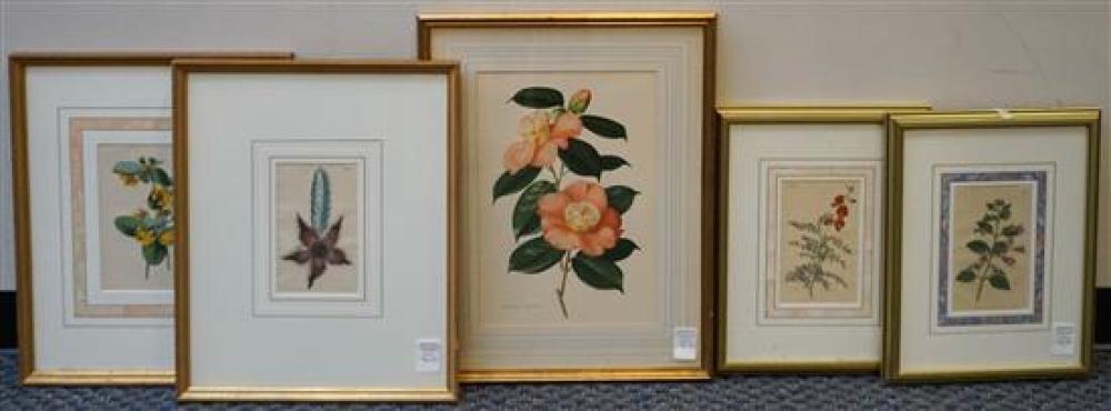 FIVE BOTANICAL COLOR PRINTS,
