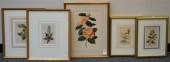 FIVE BOTANICAL COLOR PRINTS, L