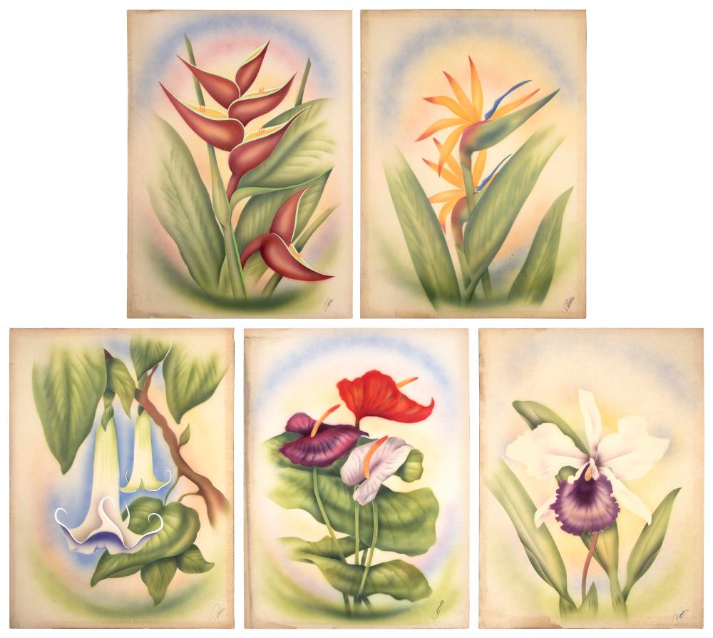 FIVE BOTANICAL STUDIES MIXED