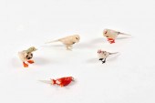 FIVE CHINESE PAINTED AND CARVE