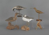 Five contemporary shorebird de