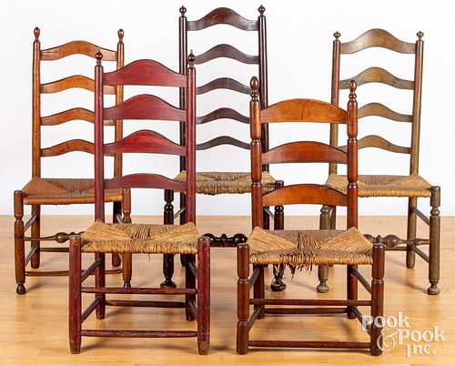 FIVE DELAWARE VALLEY LADDERBACK