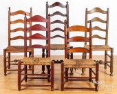 FIVE DELAWARE VALLEY LADDERBAC