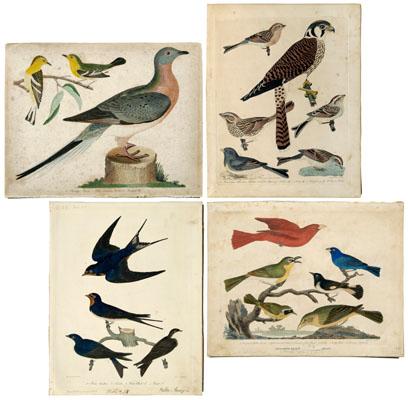 Five engravings after A. Wilson,
