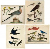 Five engravings after A. Wilso