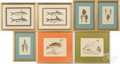 FIVE FISH ENGRAVINGS, ETC.Five