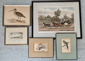 Five framed antique prints,