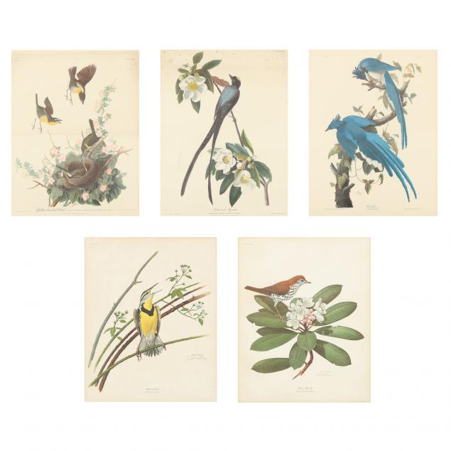 FIVE FRAMED ORNITHOLOGICAL PRINTS