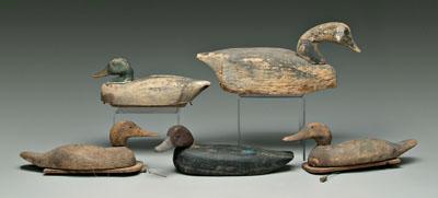 Five goose and duck decoys: