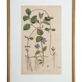 Five Hand-Colored Botanical En