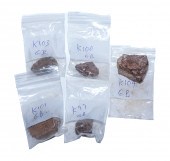 FIVE METALLIC/STONY METEORITE