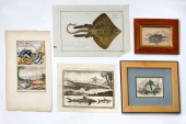 FIVE PIECE 19TH CENTURY AQUATI