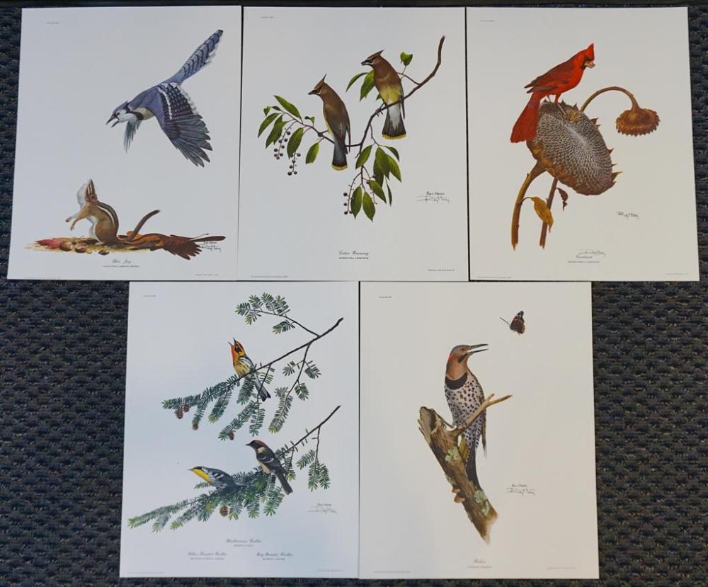 FIVE RAY HARM SIGNED LIMITED