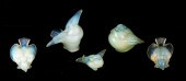 FIVE SABINO OPALESCENT GLASS B