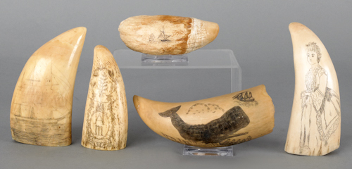 Five scrimshaw decorated whale