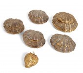 FIVE SILVER AND METALWARE SHEL