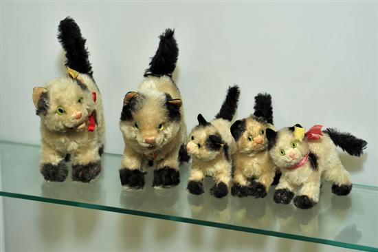 FIVE STEIFF CATS. Each with cream