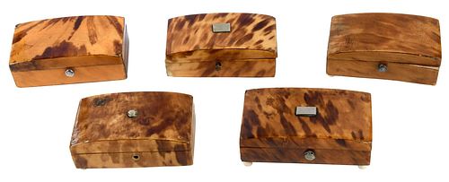 FIVE TORTOISE SHELL PIN