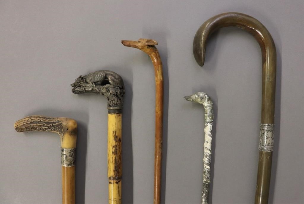 Five walking sticks and canes,