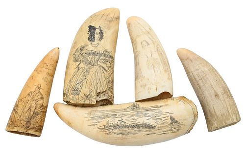 FIVE WHALES TEETH, TO INCLUDE ONE