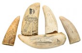 FIVE WHALES TEETH, TO INCLUDE