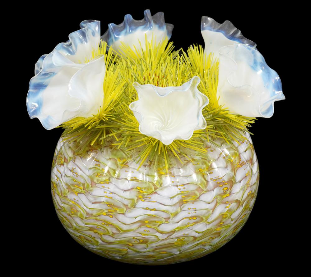 FLO PERKINS 'WHITE FLOWERING