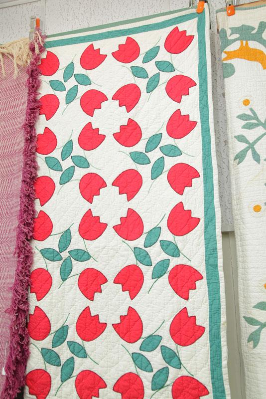 FLORAL APPLIQUE QUILT. In a tulip