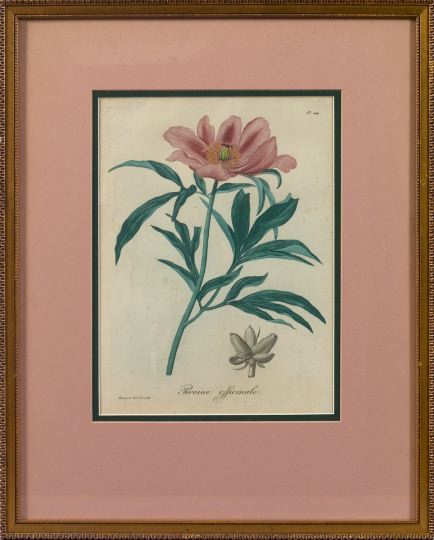 Floral Lithograph and Engraving, 
