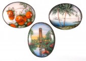 FLORIDA CAMEONA TYPE FLORIDA T