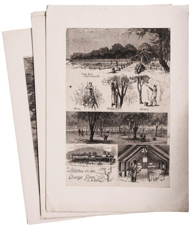 FLORIDA ENGRAVINGS FROM HARPER'S