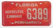 FLORIDA HORSELESS CARRIAGE LIC