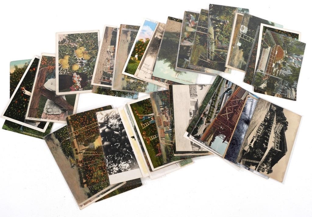 FLORIDA POSTCARDS 57 CITRUS