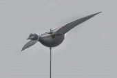 FLYING BRANTGeorge William McL