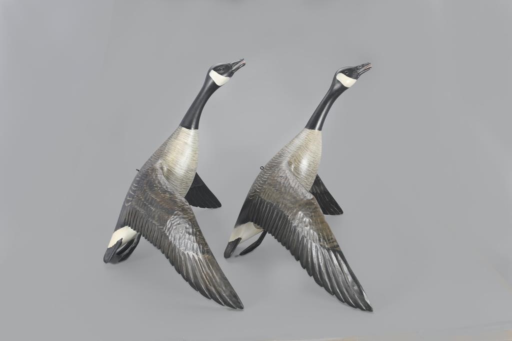 FLYING CANADA GOOSE PAIRMike